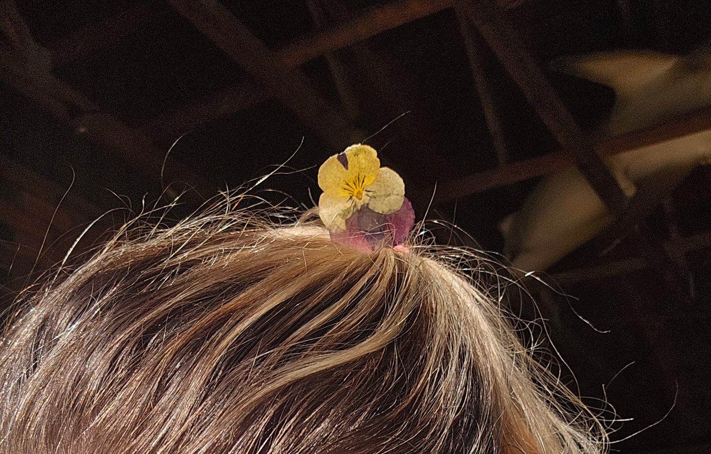 Hair Pin- Viola