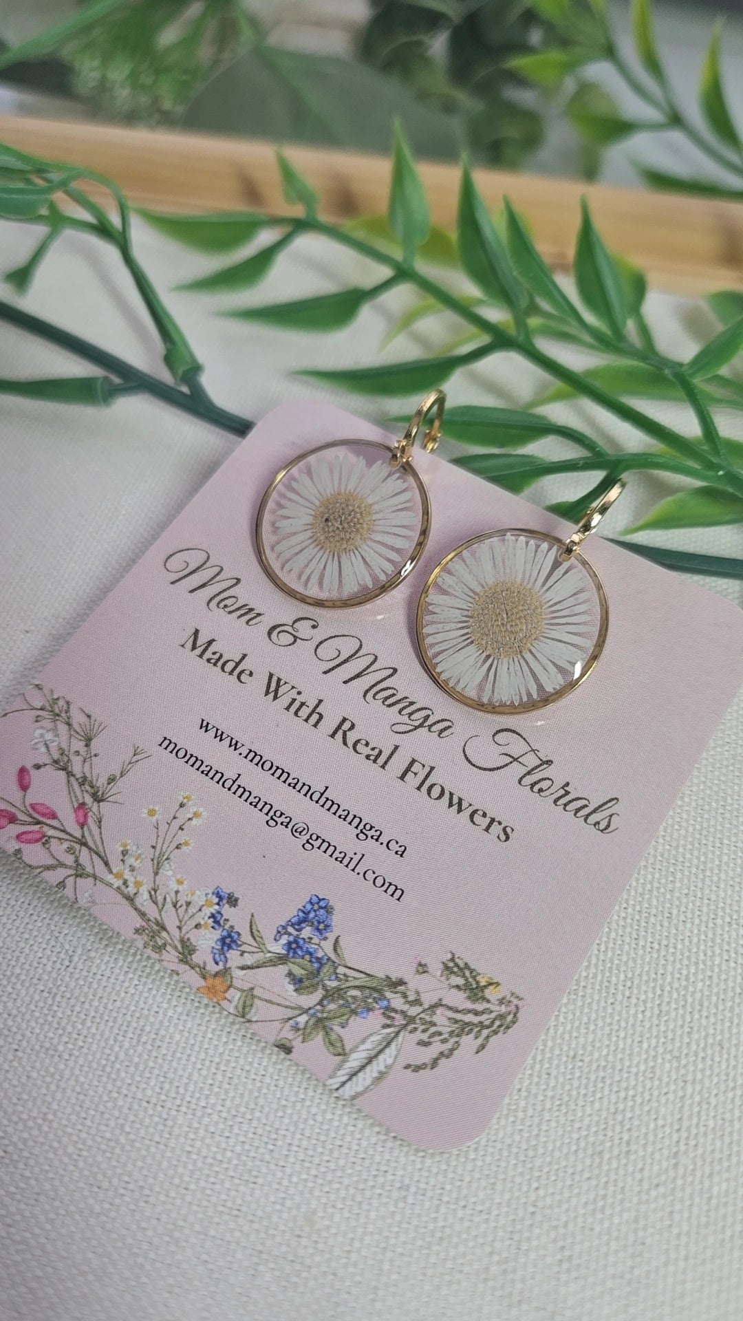 Small Everyday Aster