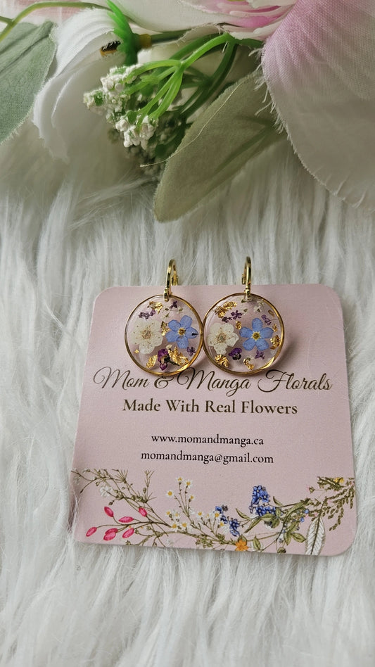 Round Forget-me-not