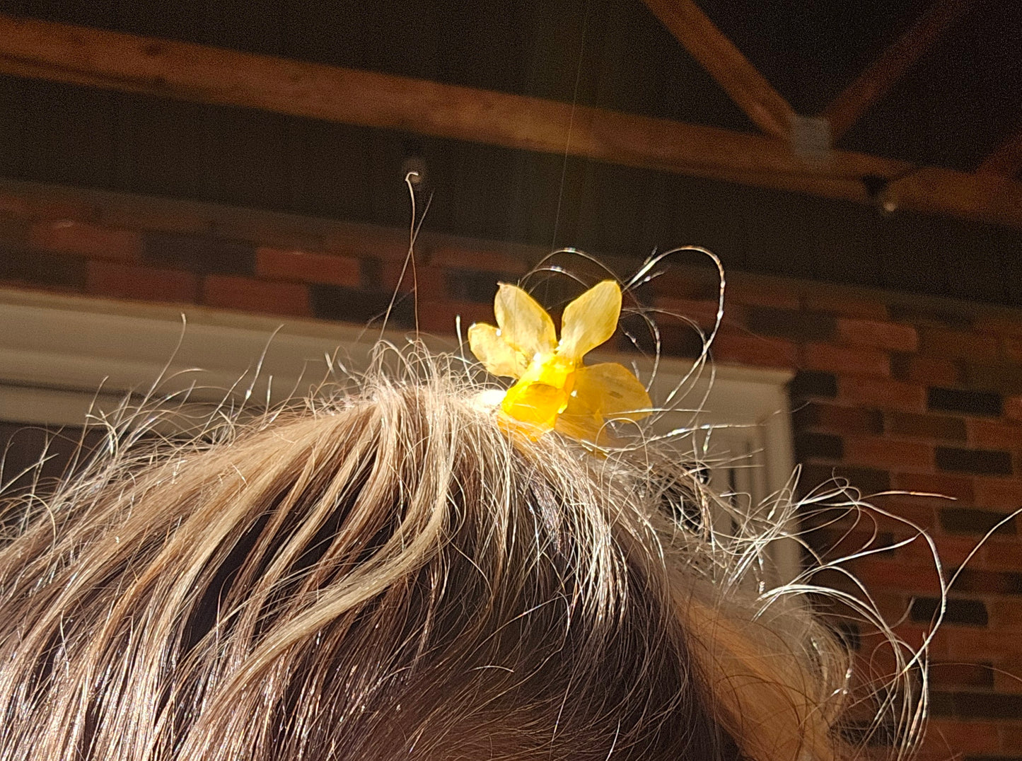 Hair Pin- Daffy