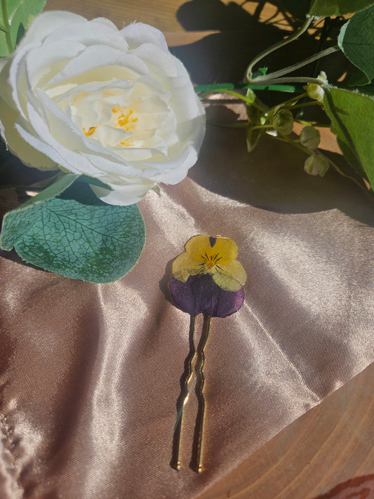 Hair Pin- Viola