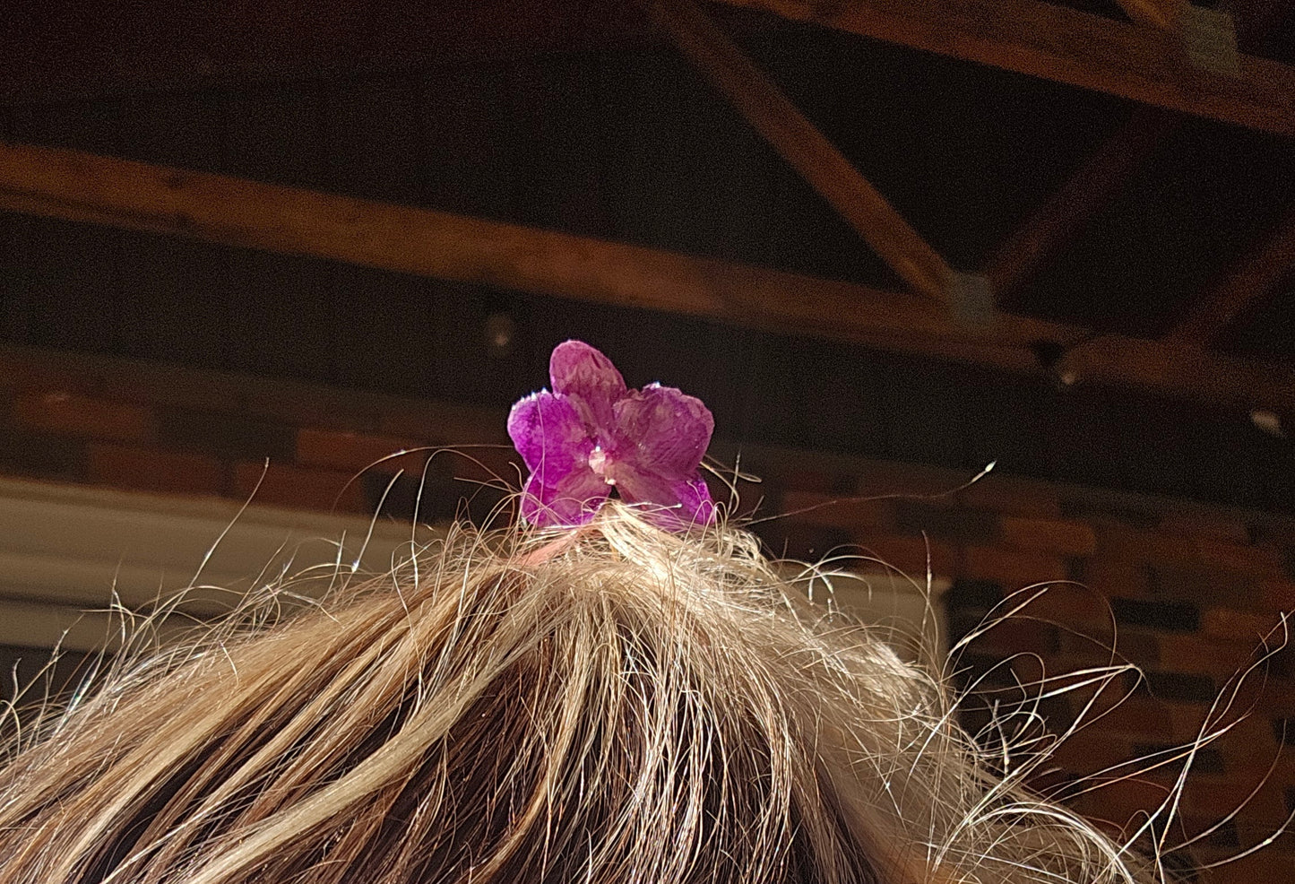 Hair Pin- Orchid